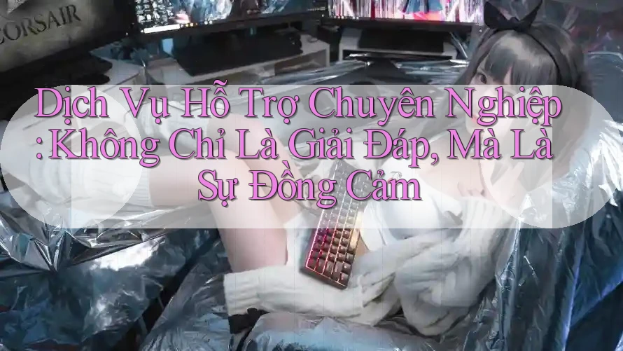 Dịch Vụ Hỗ Trợ Chuyên Nghiệp: Không Chỉ Là Giải Đáp, Mà Là Sự Đồng Cảm