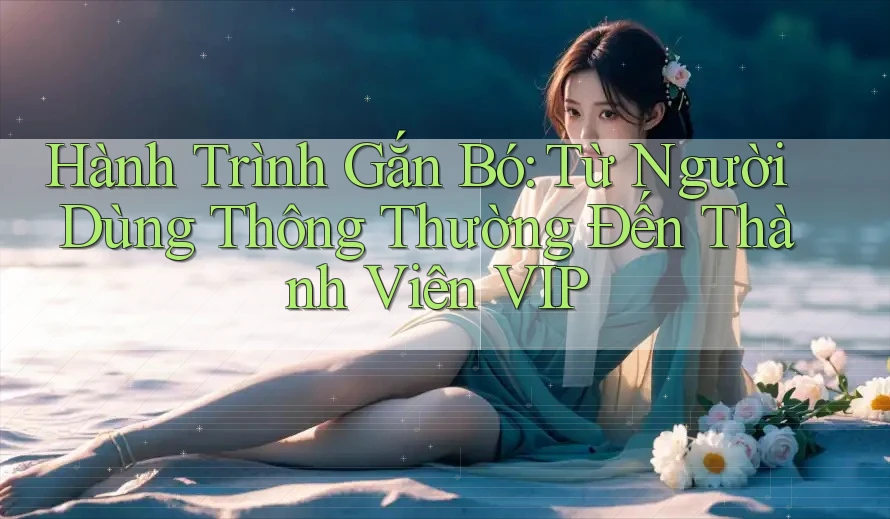 Hành Trình Gắn Bó: Từ Người Dùng Thông Thường Đến Thành Viên VIP