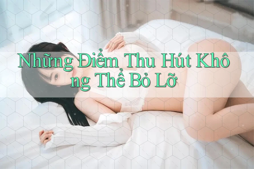 Những Điểm Thu Hút Không Thể Bỏ Lỡ Những Điểm Thu Hút Không Thể Bỏ Lỡ