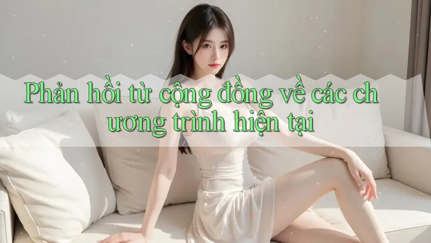 Phản hồi từ cộng đồng về các chương trình hiện tại