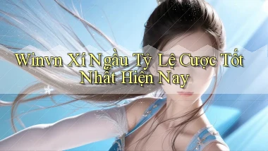 winvn  xí ngầu tỷ lệ cược tốt nhất hiện nay